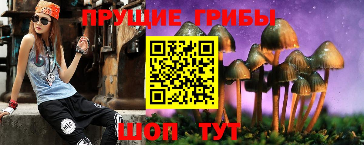 Псилоцибиновые грибы мицелий Кириши