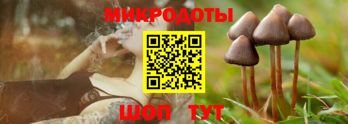 Кириши  Галлюциногенные грибы Magic Shrooms  Вход с VPN 